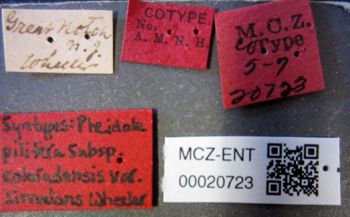 Media type: image;   Entomology 20723 Aspect: labels
